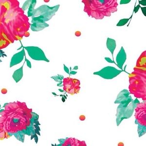 Meet your Posher, Kayt